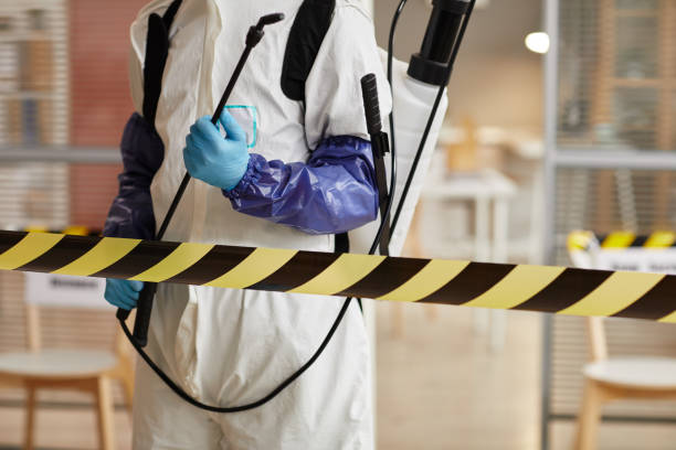 Professional Sewage Cleanup technician working in Heber City, UT